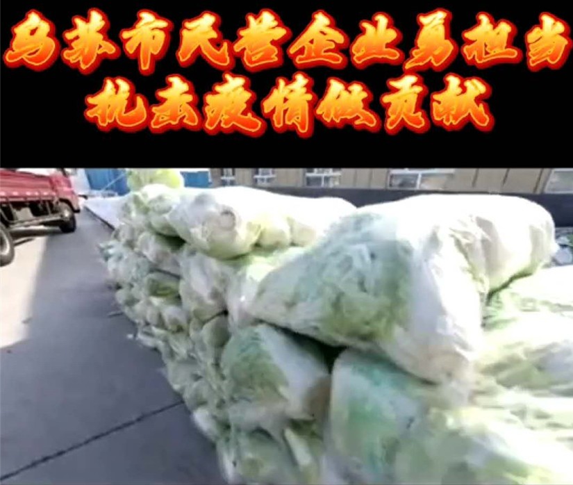 1585713877566780.jpg 圖為:烏蘇北園春市場(chǎng)商戶為政府捐白菜_副本.jpg