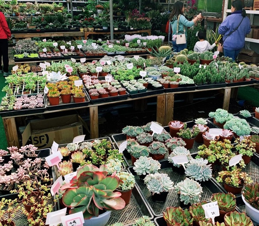 1638330279780884.jpg 微信圖片_20211201114413_副本.jpg